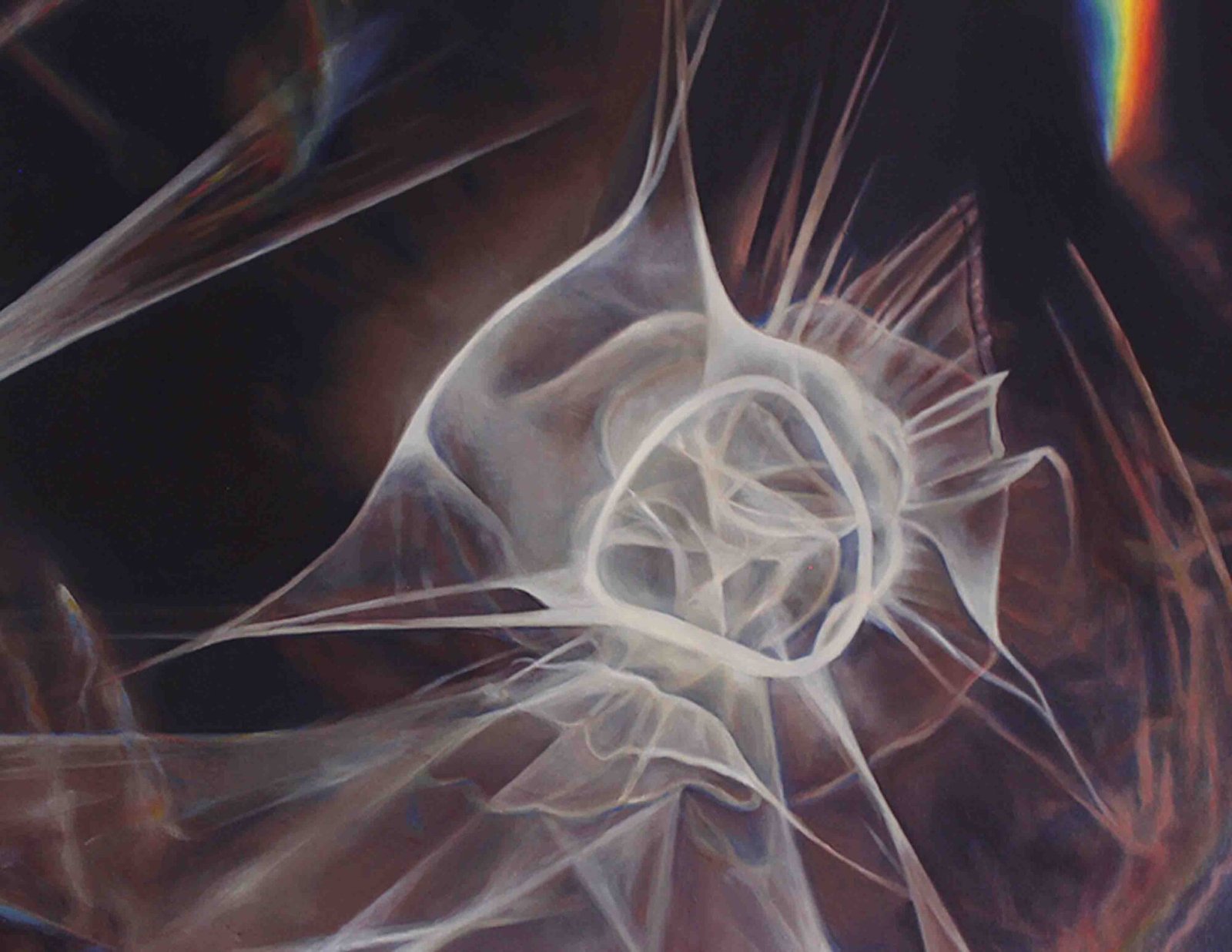 Interpretacion de la luz